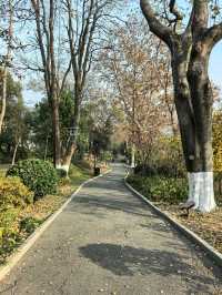 武漢citywalk必打卡,藏著百年首義記憶的公園!