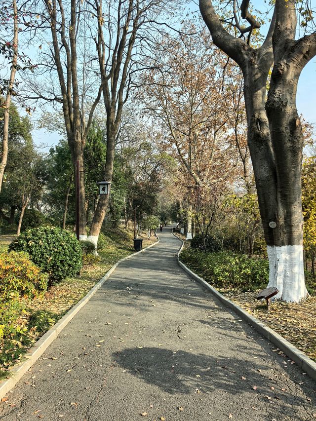 武漢citywalk必打卡,藏著百年首義記憶的公園! 武漢citywalk必打卡,藏著百年首義記憶的公園!