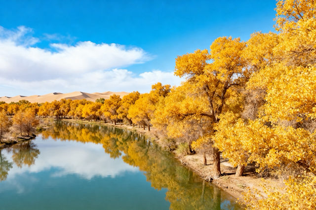 宋花映西域 阿拉爾漢服免費拍的雅境 宋花映西域 阿拉爾漢服免費拍的雅境