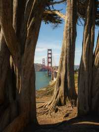 專車直達！舊金山定制包車自由行玩市區周邊