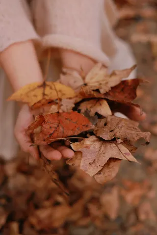 단풍이 붉게 물들었어요! 남쪽의 가을은 늦게 오지만 확실히 왔답니다!