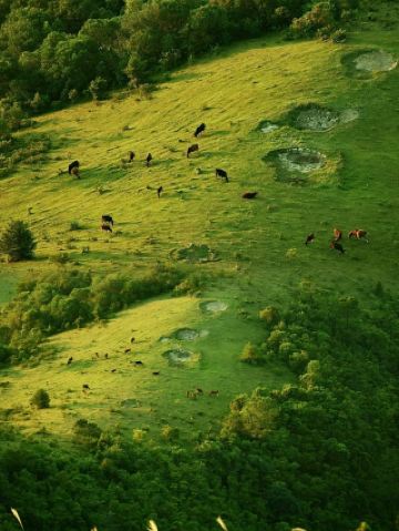 คู่มือฉบับสมบูรณ์สำหรับการเดินป่า ชมทะเลหมอก และชมพระอาทิตย์ขึ้นที่ทุ่งหญ้าเกาโจว บนภูเขาเซียวหวู่กง ทางตะวันตกของมณฑลกวางตุ้ง