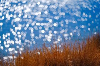 冬のヤンフーは本当にどの時期よりも美しく、ヤンフー特有の青が好きです。ヤンフーの