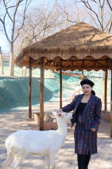 Kunming now has its own Morocco!