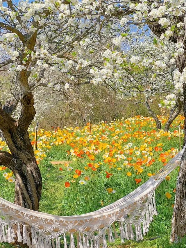 หุบเขาดอกไม้ชื่อดังซีซาน