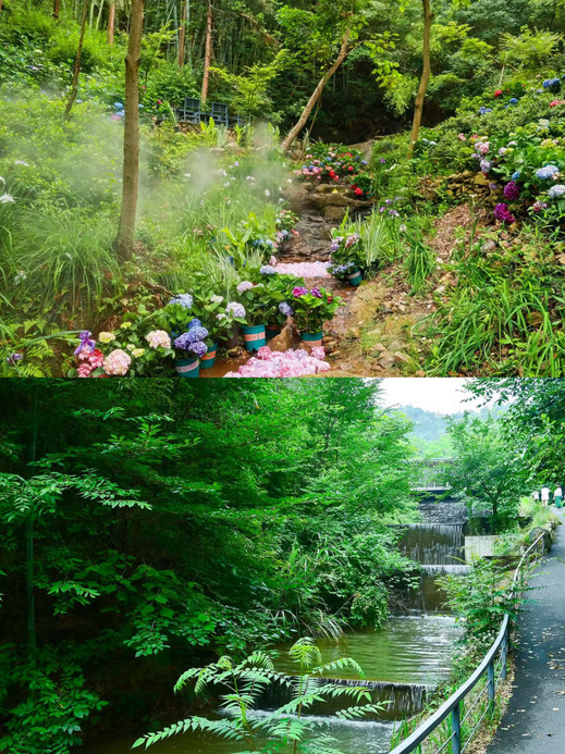 美岕山野温泉度假村(森林树屋) 参考图 3