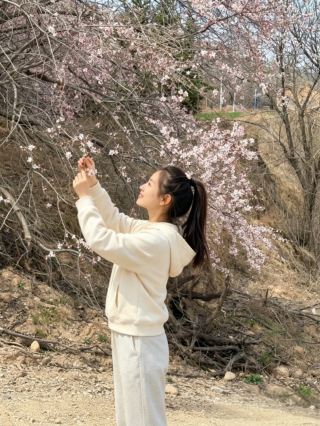 Hundred Counties Project · Pengyang｜A Must-Visit in Northwest Spring! The Double Impact of Mountain Flower Terraces + Cultural Hidden Gems?