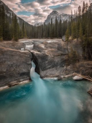 The 8-day summer vacation Canada tour guide is in high demand