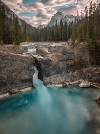 The 8-day summer vacation Canada tour guide is in high demand