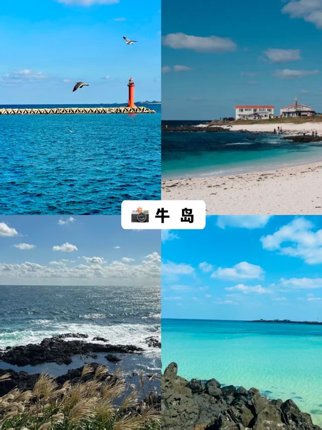濟州島玩透攻略5條寶藏路線