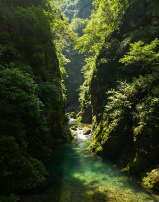 麗水縉雲蛟龍大峡谷｜浙江南部の小黄山、夏の避暑と水遊びに最適なスポット