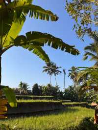 A Dream Stay Filled with Relaxation and Luxury
