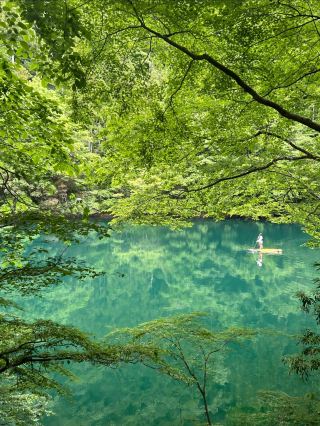 Escape Tokyo for a 1-day oxygen getaway