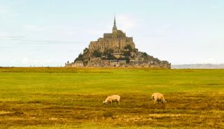 聖米歇爾山（法語：Mont-Saint-Michel）又稱聖彌額爾山，是法國著名古蹟和聖地，是天主教