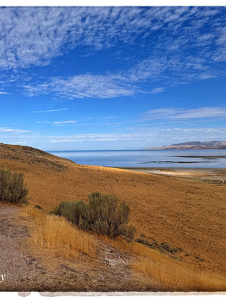 The ultimate low-effort 5-day US family trip guide