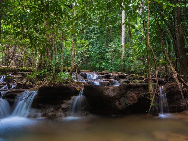 อุทยานแห่งชาติน้ำตกพาเจริญ