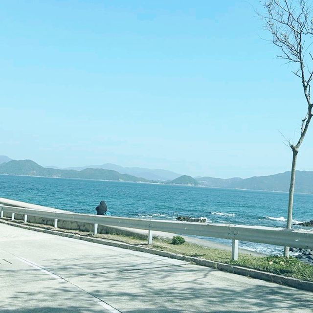 希望和朋友再去科技大學玩，情人節去，應該很棒！