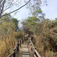 高雄高崎山