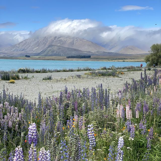 Lake Tekapo