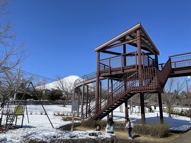 【静岡】富士山の見える絶景公園と雪景色