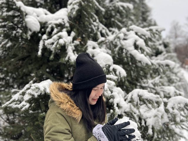 Panfilov Park Almaty