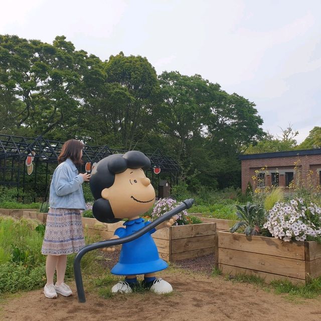 제주도 사진찍기 좋은 장소 스누피가든