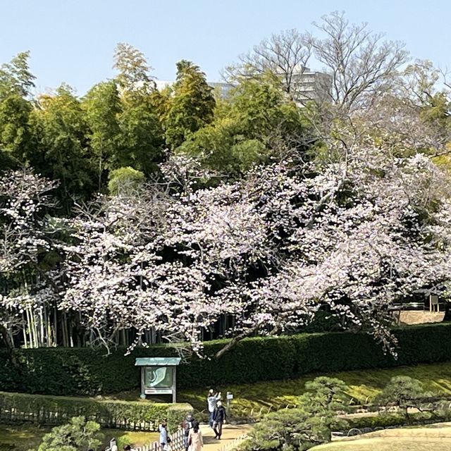 世界文化遺產 日本最美的三大庭園