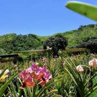 Paradise in our midst