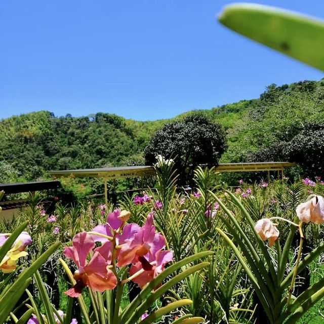 Paradise in our midst