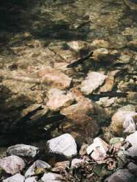 อุทยานแห่งชาติน้ำตกโยง อ.ทุ่งสง จ.นครศรีธรรมราช 