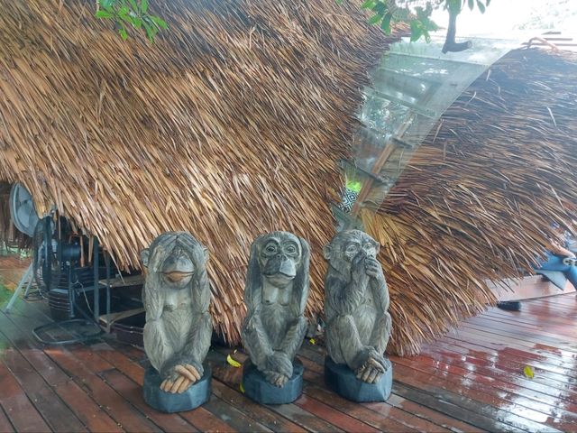 Three Monkeys Restaurant แลนด์มาร์คใหม่ภูเก็ต