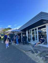 奧克蘭北岸咖啡探店