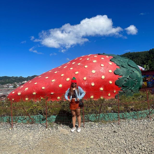 Strawberry - cool place 🥰