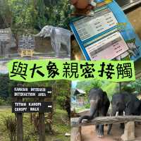 與大象親密接觸 🐘