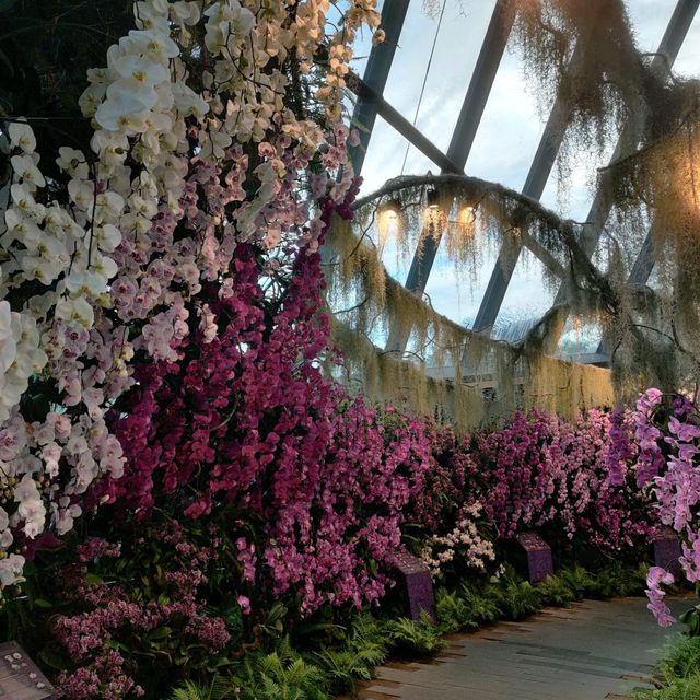 Magnificent Building of Plants and Flora