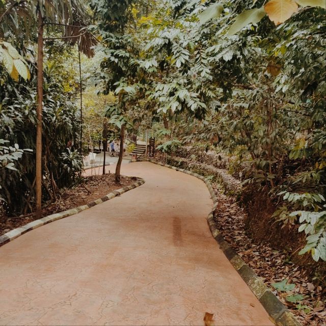 KL Forest Eco Park, Kuala Lumpur