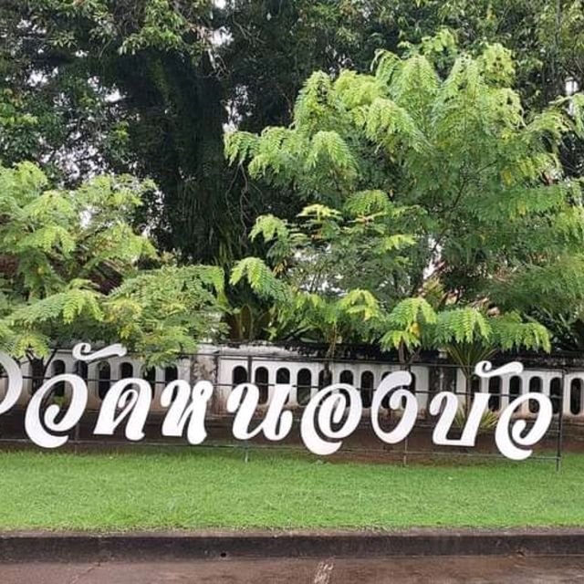 ชมภาพจิตรกรรมฝาผนัง ณ วัดหนองบัว ไทยลื้อ น่าน