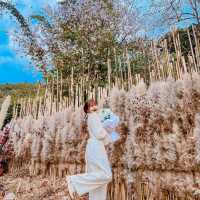 ที่พักริมลำธาร ท่ามกลางหุบเขา บ่อเกลือน่าน
