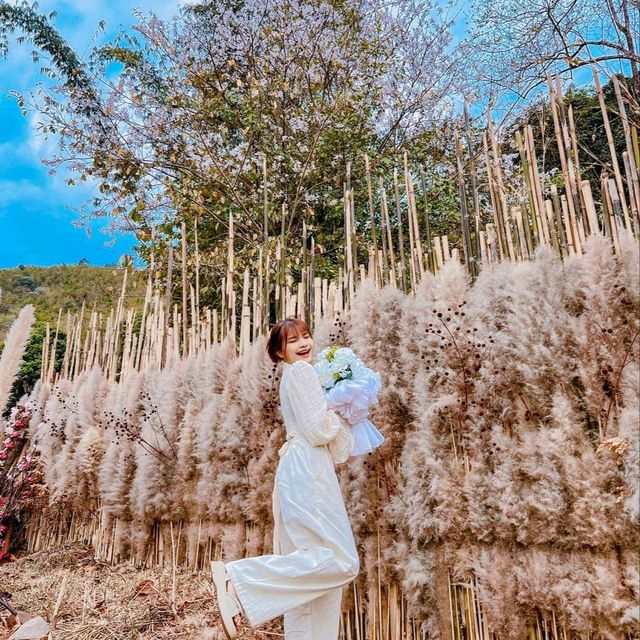 ที่พักริมลำธาร ท่ามกลางหุบเขา บ่อเกลือน่าน