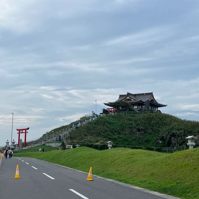 來到蕪嶋神社見黑尾鷗！