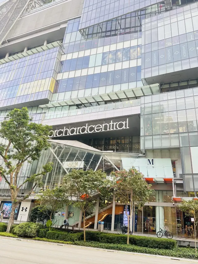 ⭐️Orchard Road⭐️Singapore Iconic Landmark⭐️