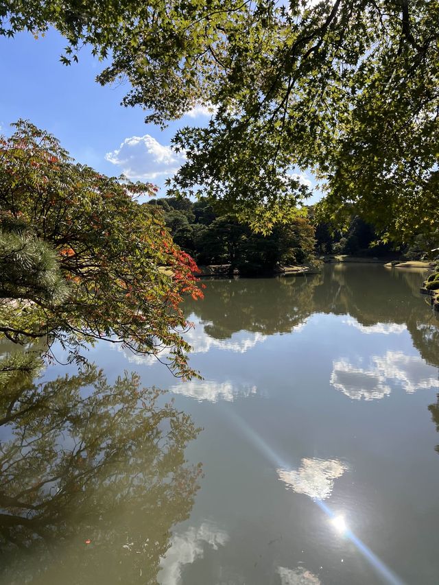 東京【駒込】六義園