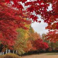 Beautiful Autumn View of Incheon Grand Park