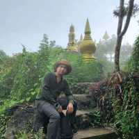 อุทยานธรรมเขานาในหลวง   จ.สุราษฎร์ธานี