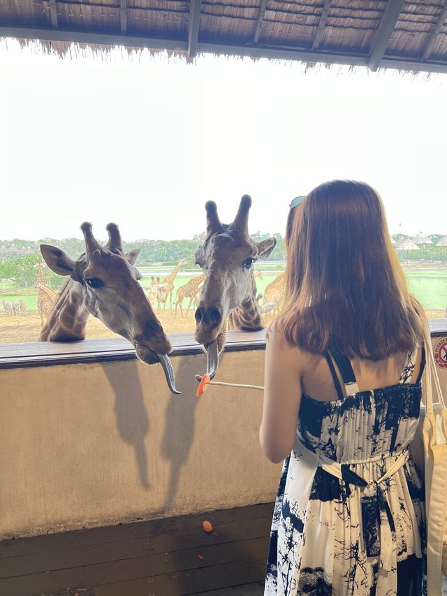 泰國🇹🇭人氣曼谷近郊Marine Park❣️親子遊好去處