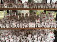 【豪徳寺】招き猫に囲まれるしあわせ♡