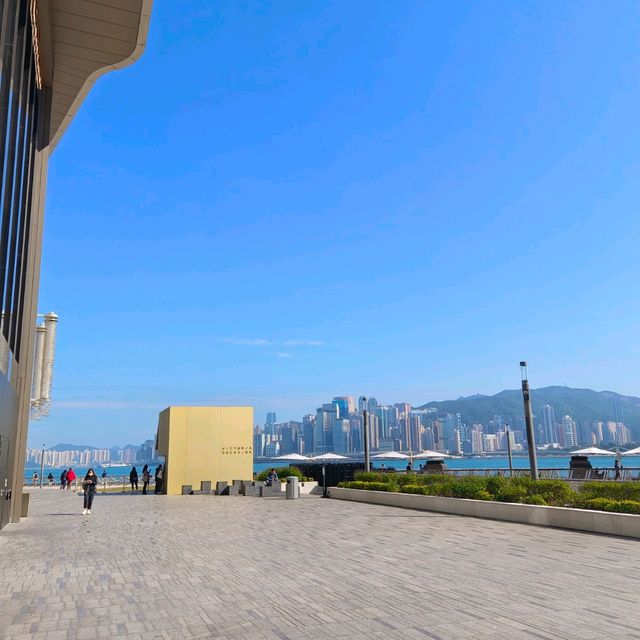 香港最有特色的 K11 MUSEA！滿足家人以及毛小孩的好去處！