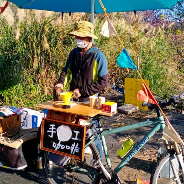 ［陽明山 美景］平菁街42巷櫻花盛開