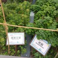 新都會廣場果藝甜園遊樂場
