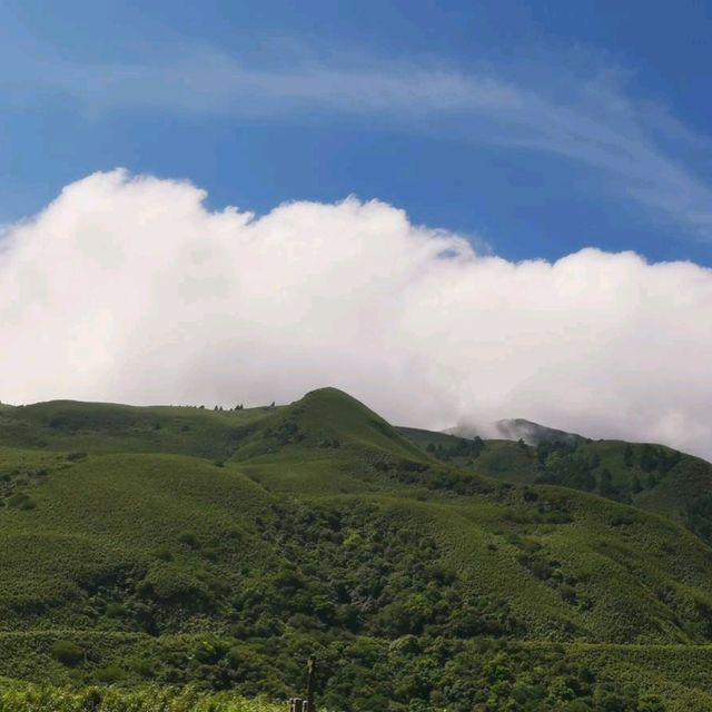 清新陽明山夢幻湖